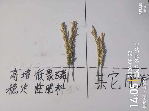 ͨ�ķ��r(n��ng)�Ƹ����;��׏�(f��)�Ϸ���ˮ���ϵ�Ч�����F(xi��n)